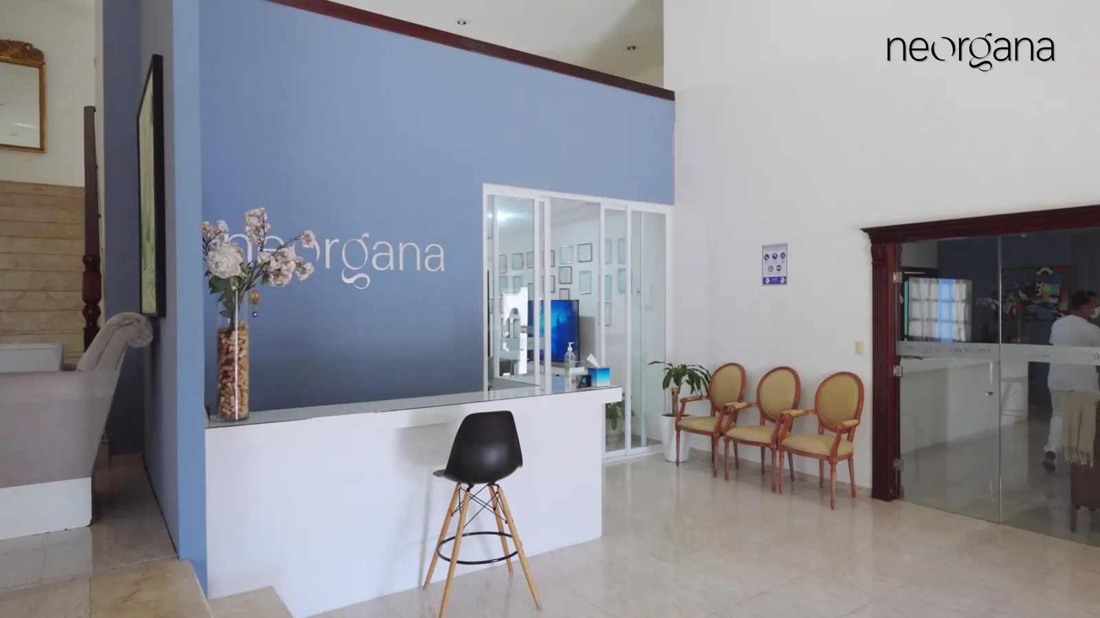 Reception area at the Neorgana clinic in Mérida, México